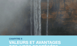 Valeurs et avantages des aires protégées