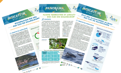 Panoramas & indicateurs biodiv' : nouveaux outils disponibles !