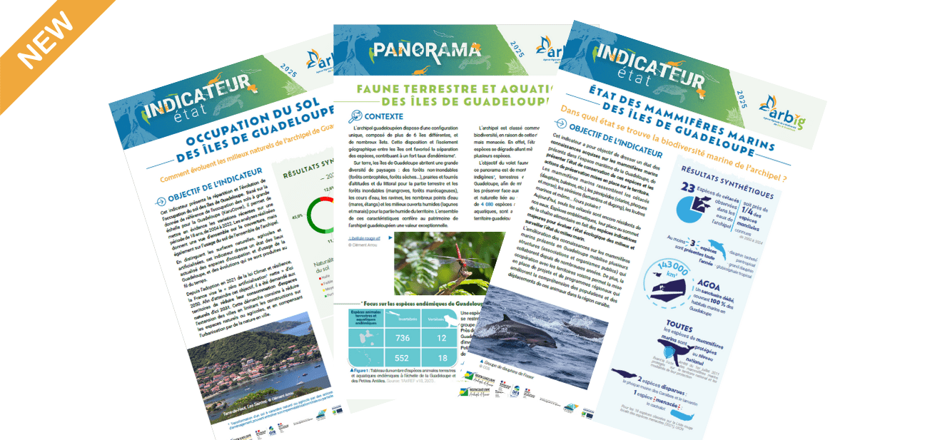 Panoramas & indicateurs biodiv&rsquo; : nouveaux outils disponibles !