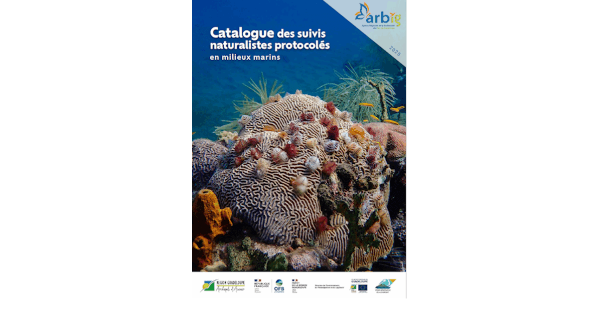 Publication du catalogue des suivis marins de Guadeloupe