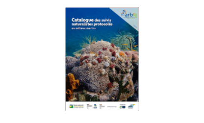 Publication du catalogue des suivis marins de Guadeloupe