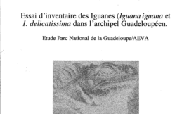 Essai d'inventaire des Iguanes dans l'Archipel Guadeloupéen