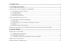 Population d'Iguane des petites Antilles à Petite Terre en 1998