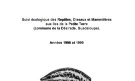 Suivi des Reptiles, oiseaux et mammifères à Petite Terre