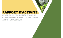 Rapport d'activité du suivi des iguanes communs à Jarry