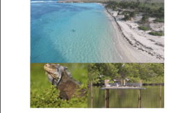 GESTION 2020-2029  Réserve Naturelle Nationale à Petite-Terre