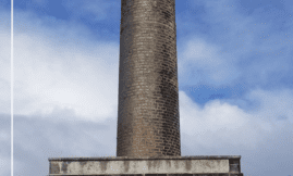 Population d’Iguana delicatissima Petite Terre - Mission 2021