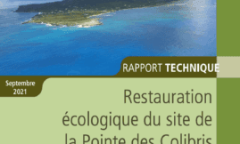 Restauration écologique du site de la Pointe des Colibris