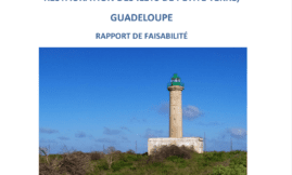 Rapport restauration des îlets de Petite Terre, Guadeloupe
