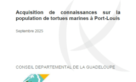 Connaissances sur la population de tortues marines à Port-Louis