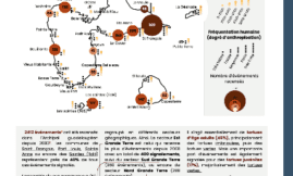 Signalements au réseau Echouage Tortues Marines en Guadeloupe