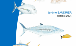 Guide d'identification des poissons de mer pêchés aux Antilles