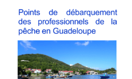 Points de débarquement professionnels de la pêche en Guadeloupe
