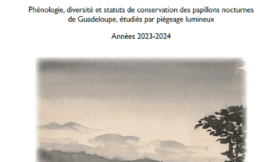 Rapport Phéno-WATT 2023-2024 (papillons nocturnes)