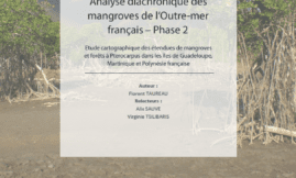 Analyse diachronique des mangroves de l'outre-mer français