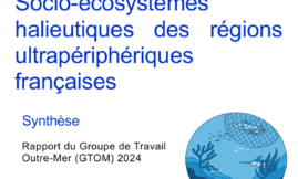 Ecosystèmes halieutiques régions ultrapériphériques françaises