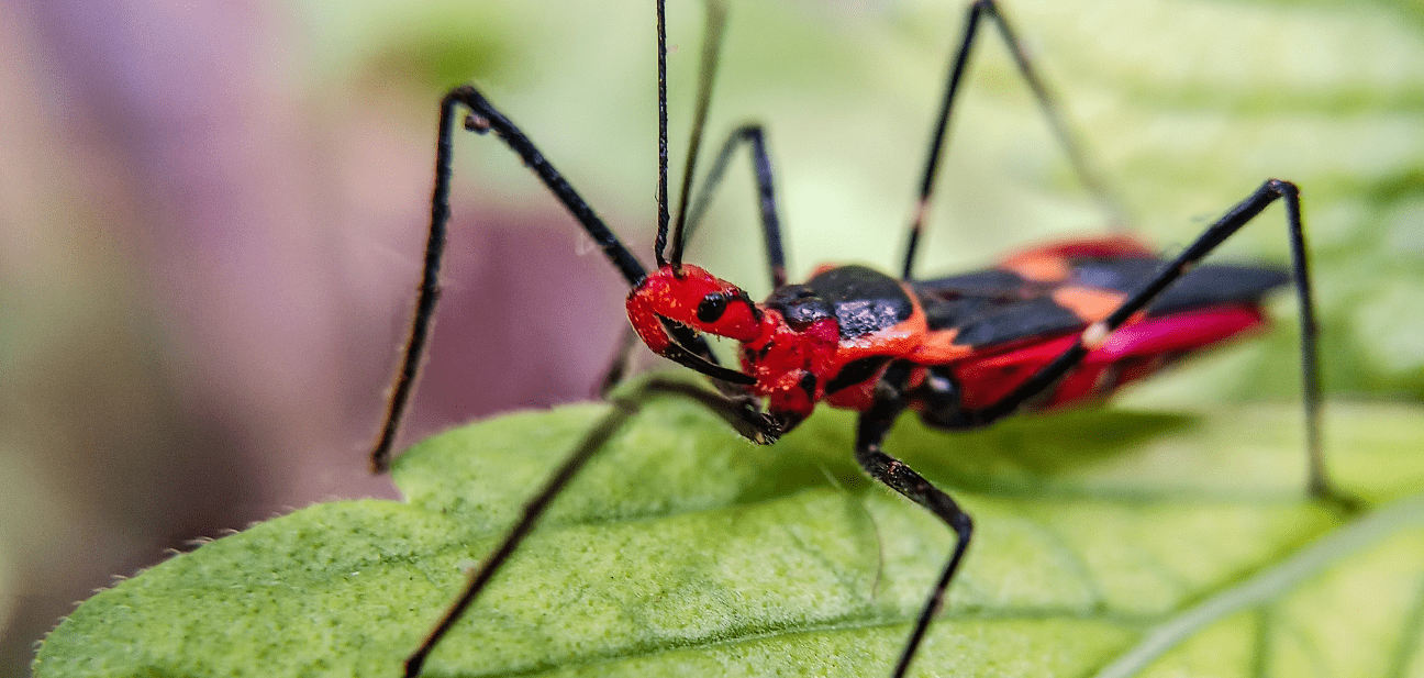 Rapport d&rsquo;activité 2025