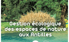 Gestion écologique des espaces de nature aux Antilles