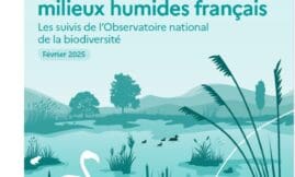 La biodiversité des milieux humides français