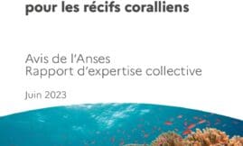 Evaluation des substances chimiques pour les récifs coralliens