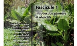 Identification et délimitation zones humides DROM - Fascicule 1