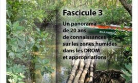 Identification et délimitation zones humides DROM - Fascicule 3