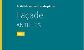 Activité des navires de pêche - Façade Antilles - 2022