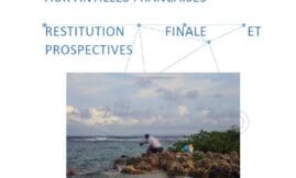 Etude relative à la pêche récréative aux Antilles françaises