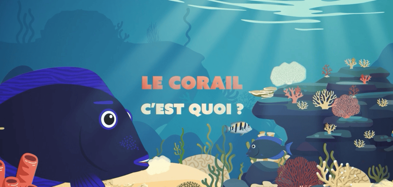 Parution de vidéos pédagogiques sur les récifs coralliens