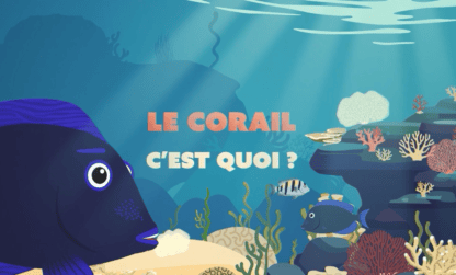 Parution de vidéos pédagogiques sur les récifs coralliens