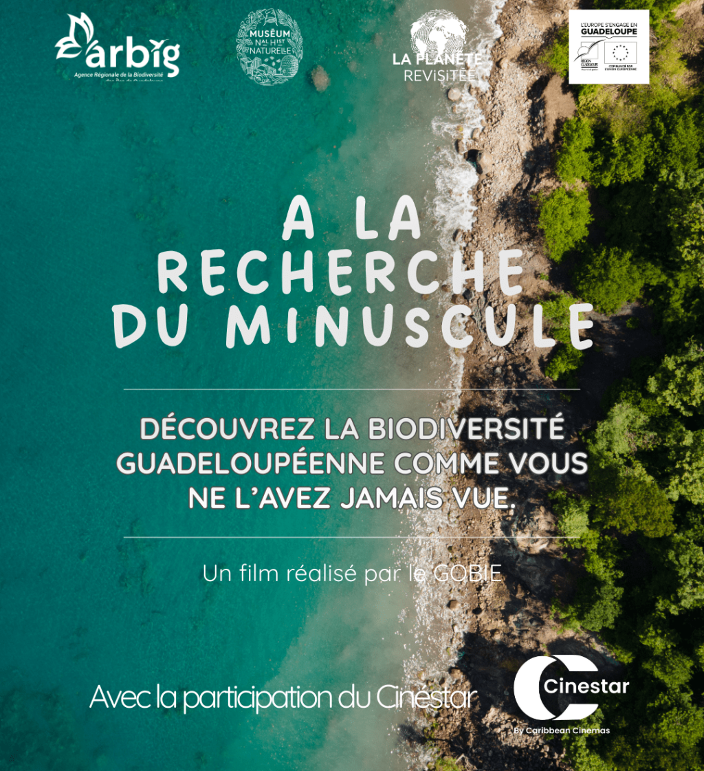 ARBIG - Instagram (ancien template)-2